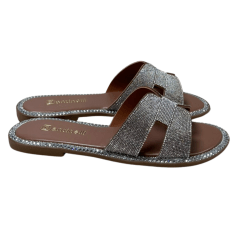 Chinelo Santinelli 1618-019-252 Rasteirinha Strass Prata